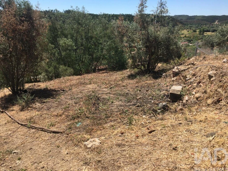 Terreno para Venda em Carvoeiro Foto 3