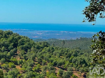 Quinta T2 para Venda em Marmelete
