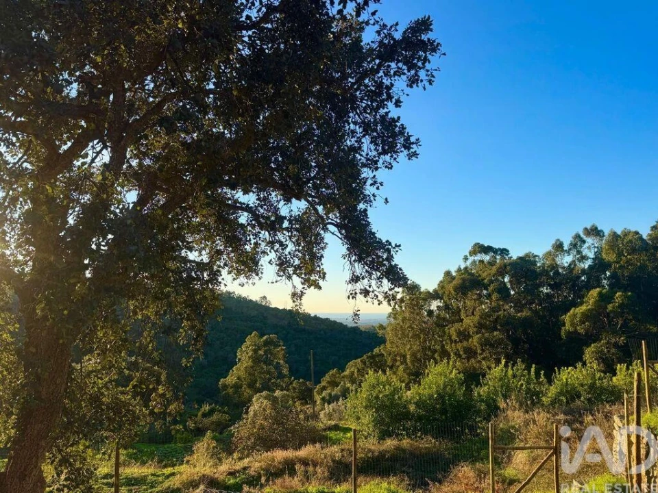 Quinta T2 para Venda em Marmelete Foto 15