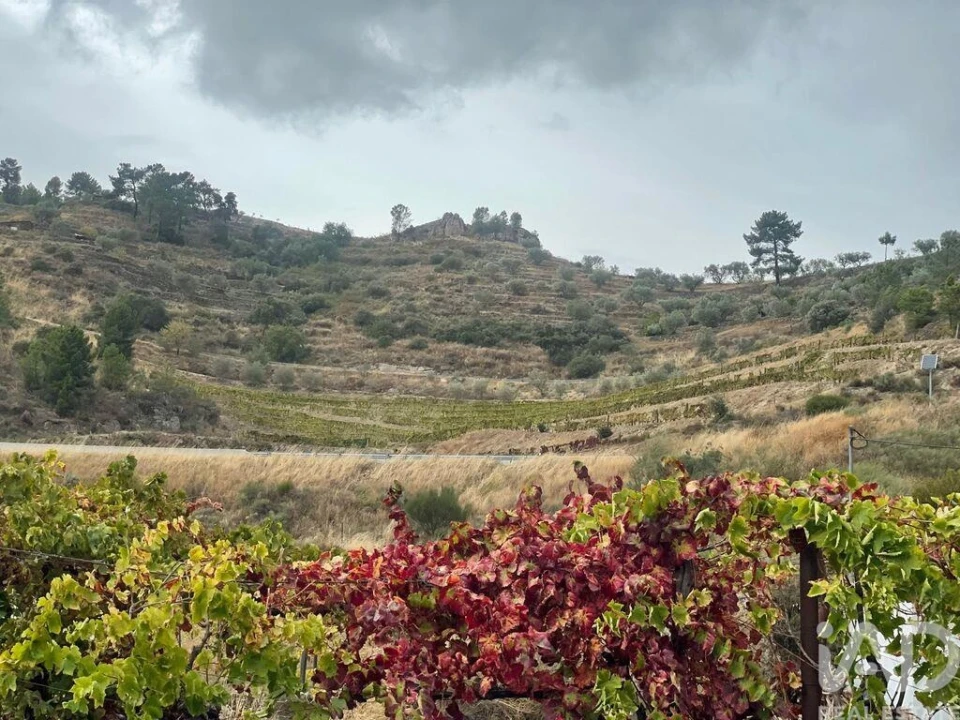 Quinta T3 para Venda em Carlão e Amieiro Foto 31
