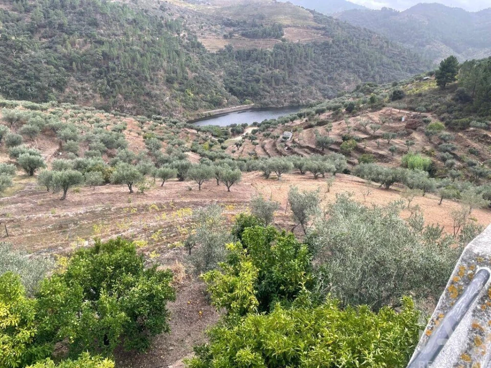 Quinta T3 para Venda em Carlão e Amieiro Foto 3