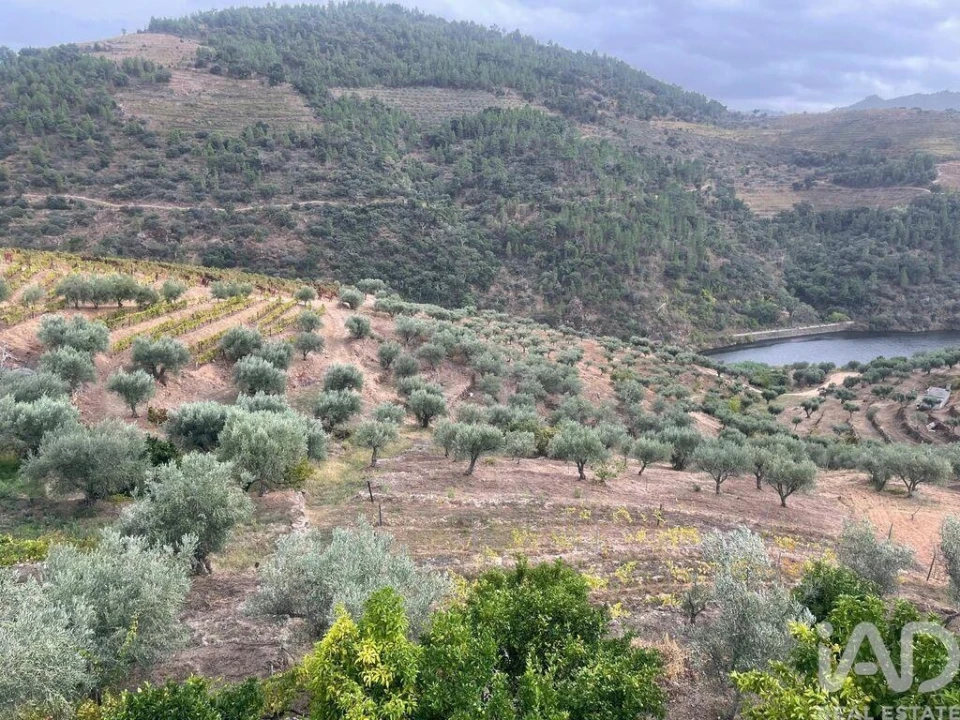 Quinta T3 para Venda em Carlão e Amieiro Foto 7