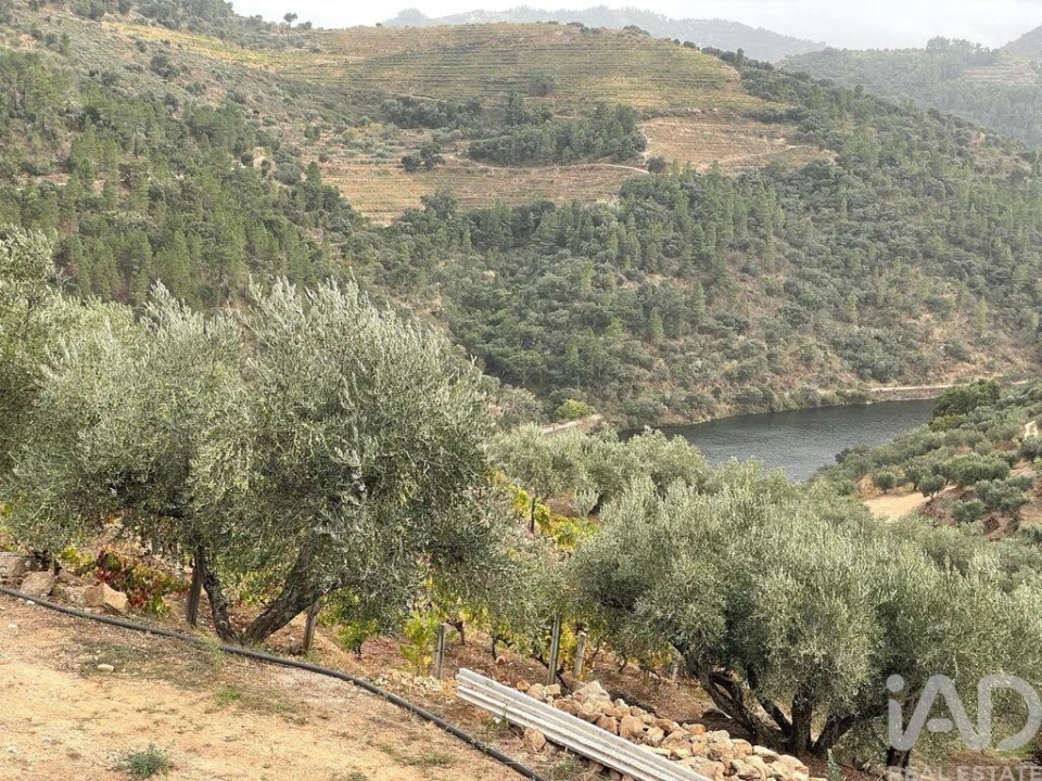 Quinta T3 para Venda em Carlão e Amieiro Foto 27