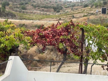 Quinta T3 para Venda em Carlão e Amieiro