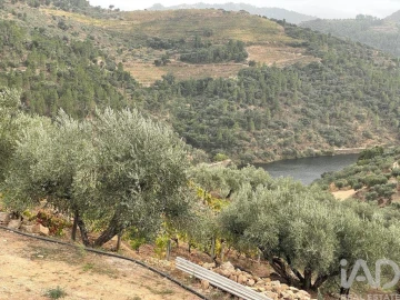 Quinta T3 para Venda em Carlão e Amieiro