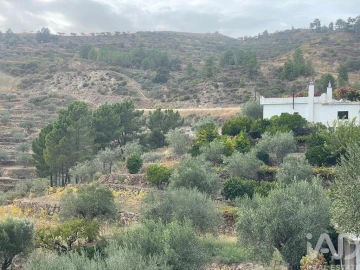 Quinta T3 para Venda em Carlão e Amieiro