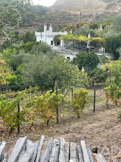 Quinta T3 para Venda em Carlão e Amieiro