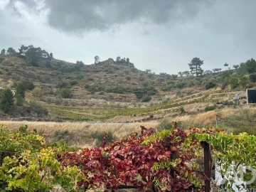 Quinta T3 para Venda em Carlão e Amieiro