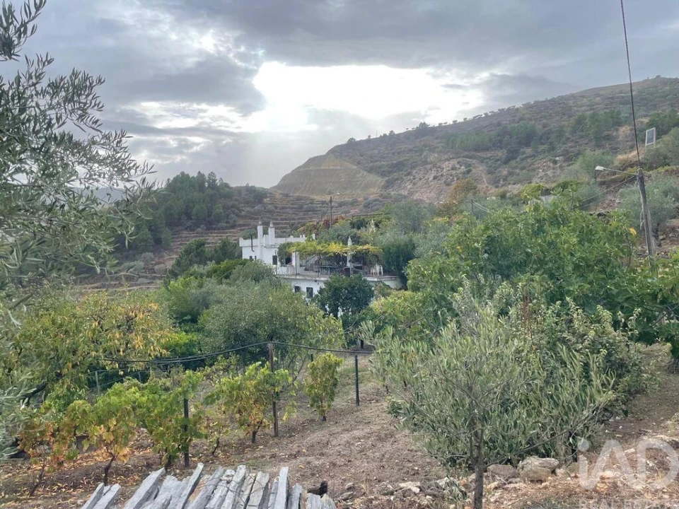 Quinta T3 para Venda em Carlão e Amieiro Foto 28