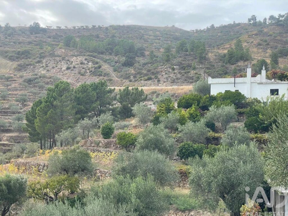 Quinta T3 para Venda em Carlão e Amieiro Foto 30