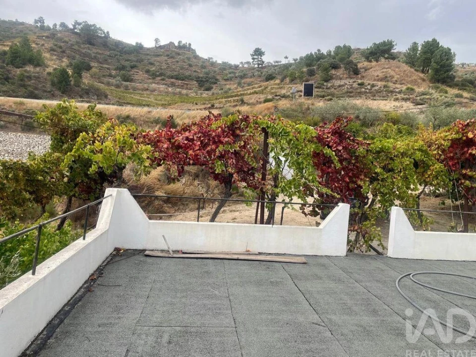Quinta T3 para Venda em Carlão e Amieiro Foto 11