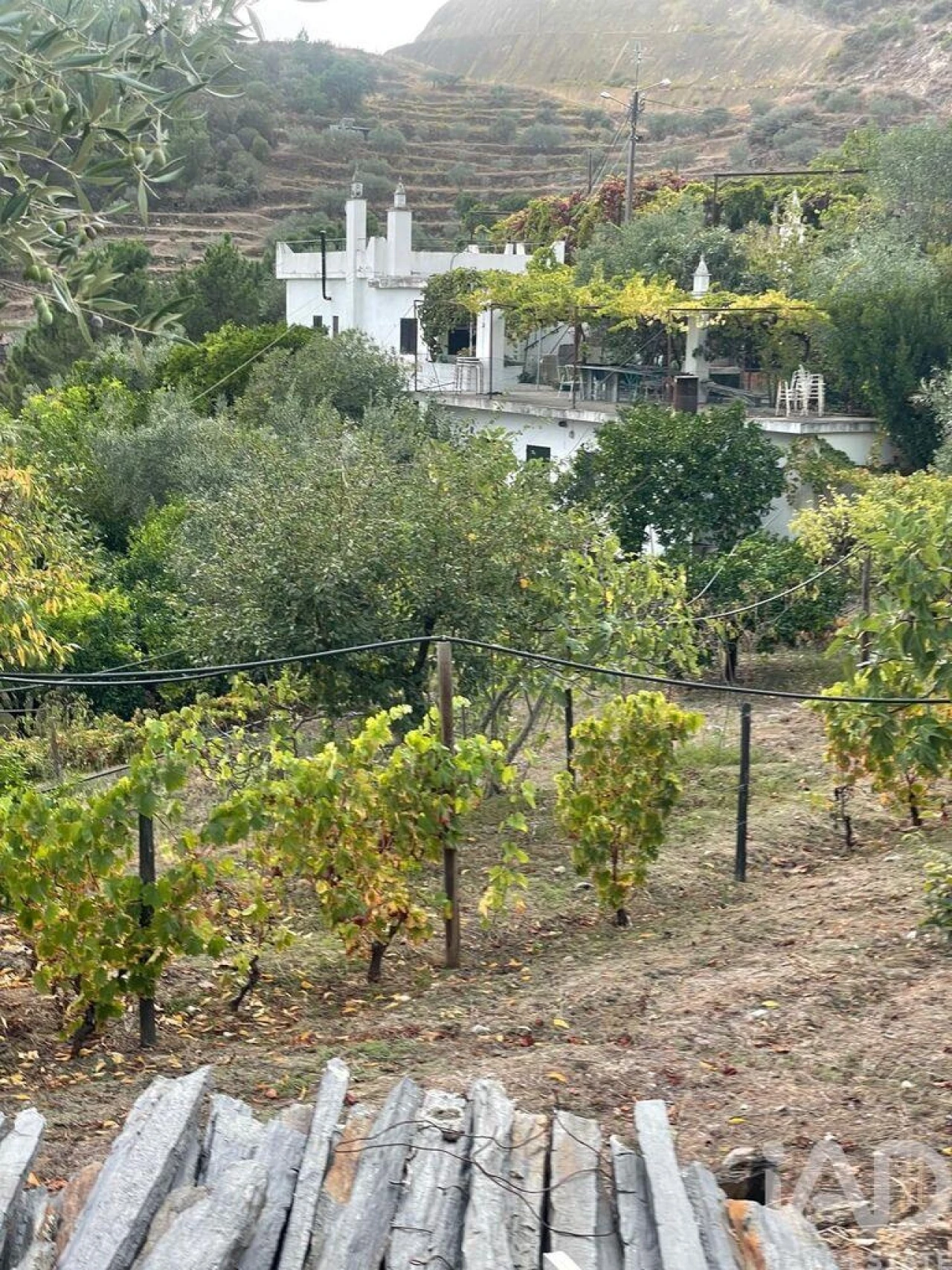 Quinta T3 para Venda em Carlão e Amieiro Foto 5
