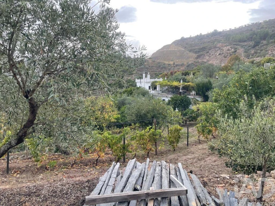 Quinta T3 para Venda em Carlão e Amieiro Foto 34