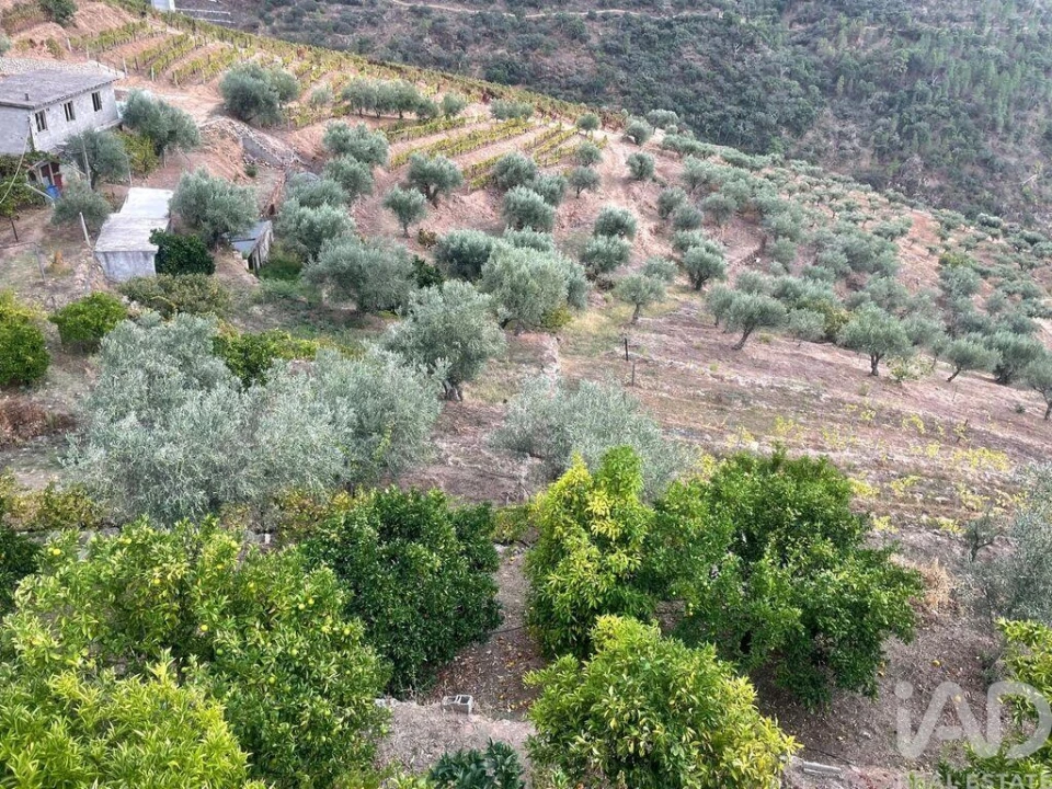 Quinta T3 para Venda em Carlão e Amieiro Foto 29