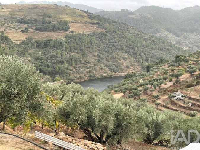 Quinta T3 para Venda em Carlão e Amieiro Foto 20