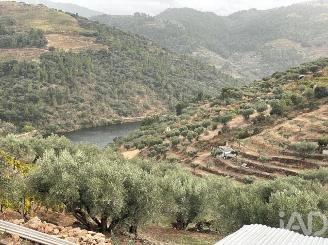 Quinta T3 para Venda em Carlão e Amieiro Foto 32
