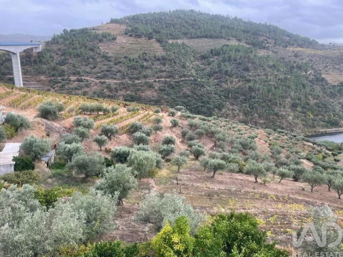 Quinta T3 para Venda em Carlão e Amieiro Foto 25