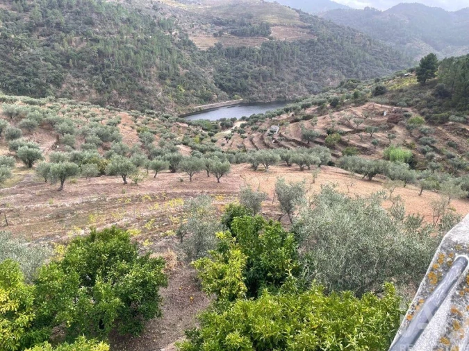 Quinta T3 para Venda em Carlão e Amieiro Foto 3