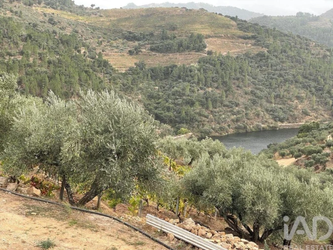 Quinta T3 para Venda em Carlão e Amieiro Foto 27