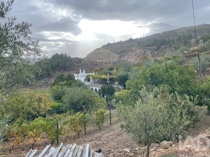 Quinta T3 para Venda em Carlão e Amieiro Foto 28