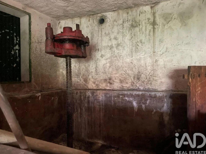 Quinta T3 para Venda em Carlão e Amieiro Foto 14
