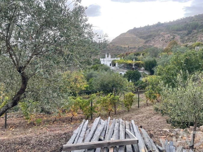 Quinta T3 para Venda em Carlão e Amieiro Foto 34