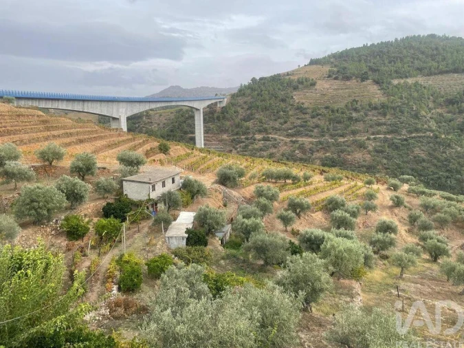 Quinta T3 para Venda em Carlão e Amieiro Foto 2