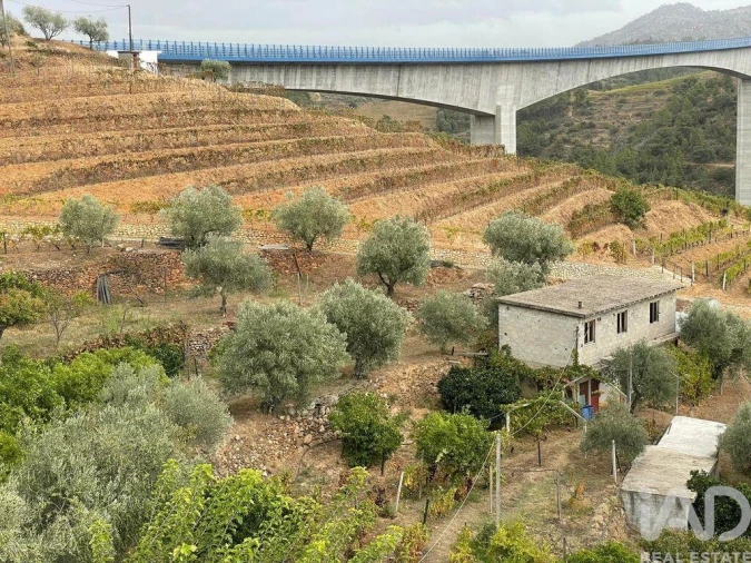 Quinta T3 para Venda em Carlão e Amieiro Foto 15