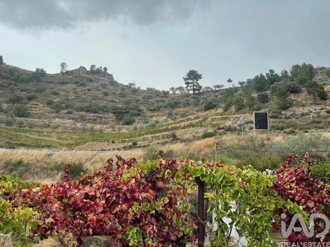 Quinta T3 para Venda em Carlão e Amieiro Foto 16