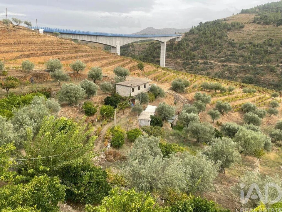 Quinta T3 para Venda em Carlão e Amieiro Foto 26