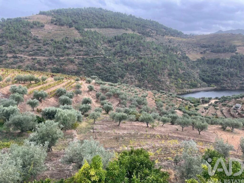 Quinta T3 para Venda em Carlão e Amieiro Foto 21