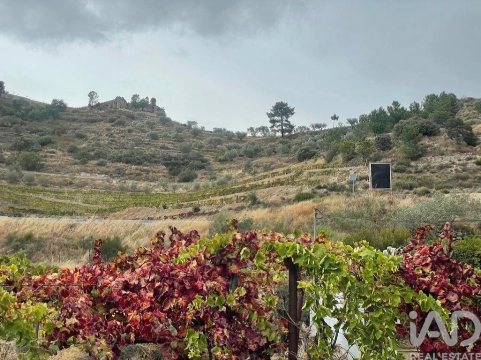 Quinta T3 para Venda em Carlão e Amieiro Foto 16