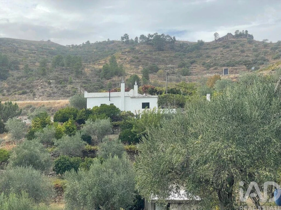 Quinta T3 para Venda em Carlão e Amieiro Foto 4