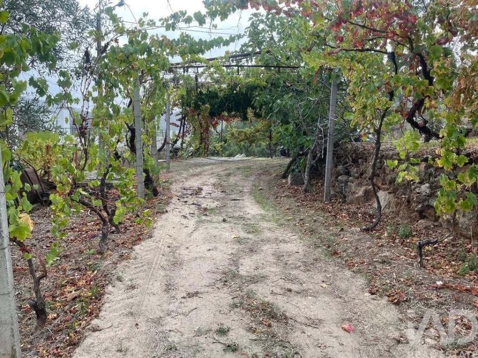 Quinta T3 para Venda em Carlão e Amieiro Foto 36