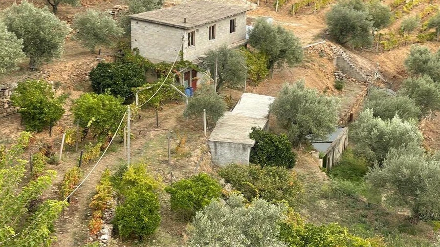 Quinta T3 para Venda em Carlão e Amieiro