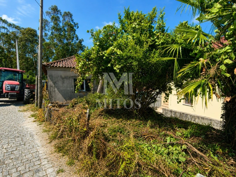 Moradia T1 para Venda em Fragoso Foto 3