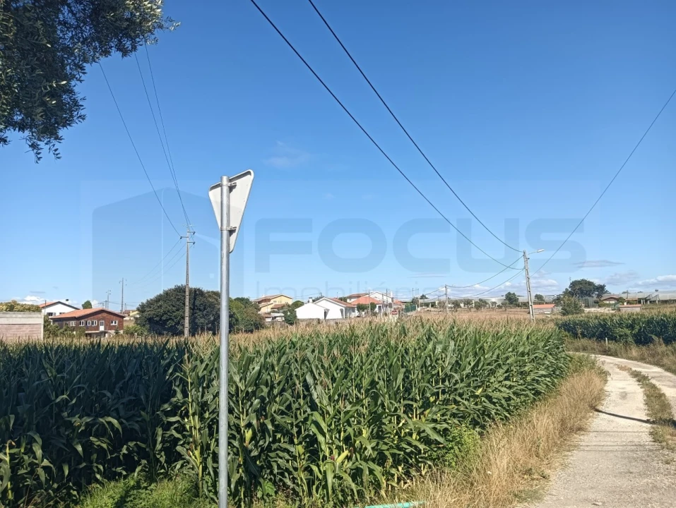 Terreno para Venda em Cacia Foto 4