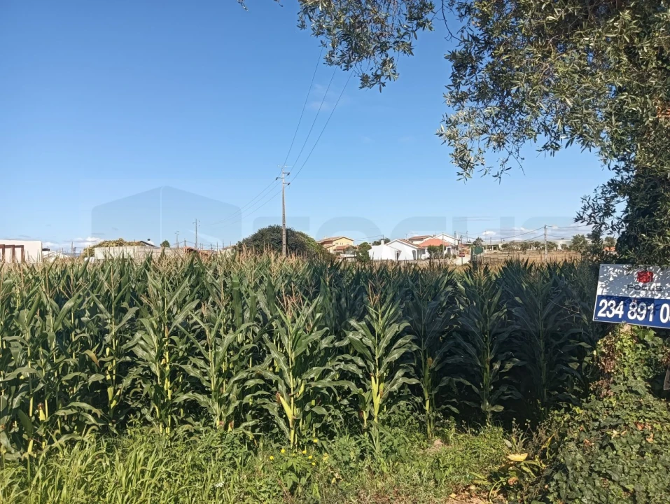 Terreno para Venda em Cacia Foto 18