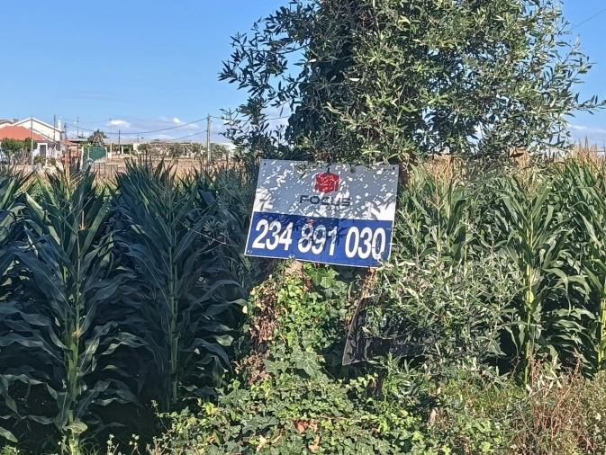 Terreno para Venda em Cacia Foto 13