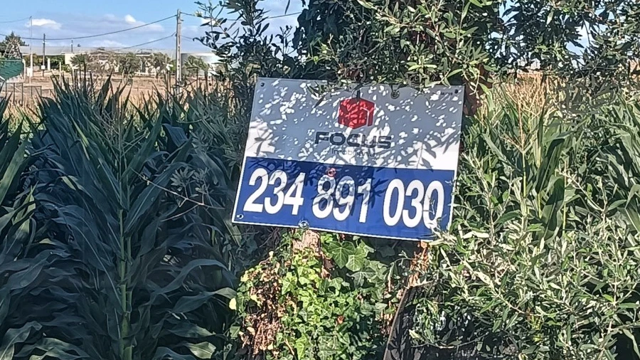 Terreno para Venda em Cacia