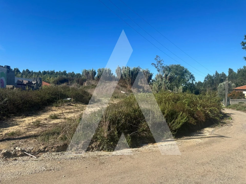 Terreno para Venda em Oiã Foto 2