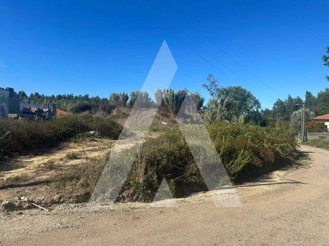 Terreno para Venda em Oiã Foto 2