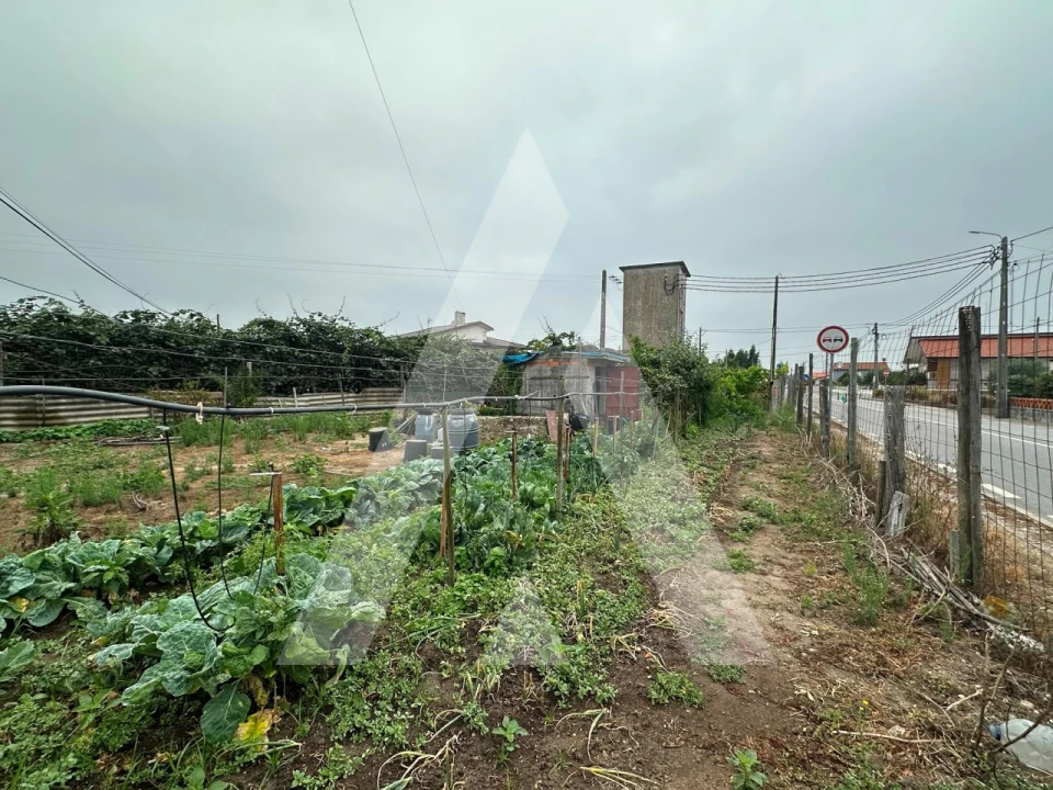 Terreno para Venda em Covões e Camarneira Foto 4