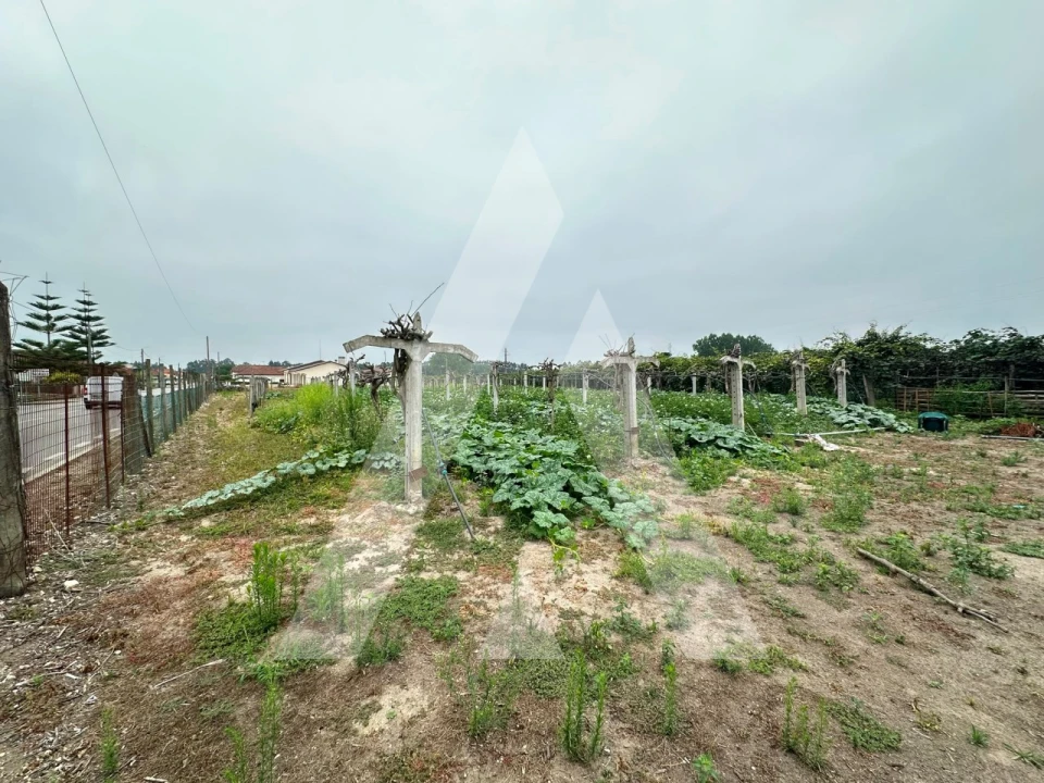 Terreno para Venda em Covões e Camarneira Foto 5