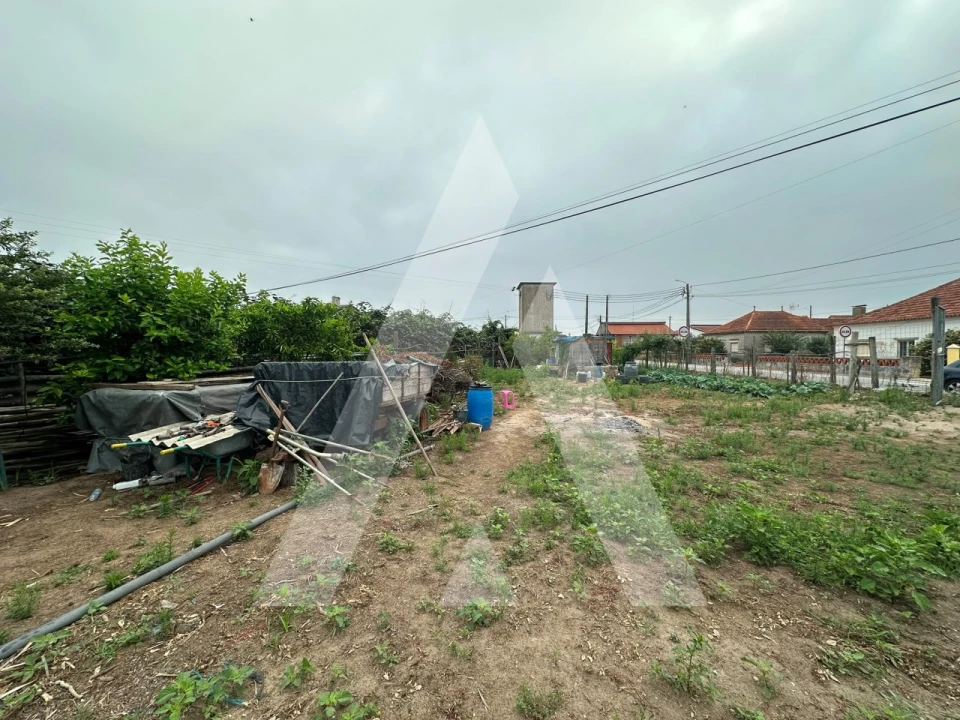 Terreno para Venda em Covões e Camarneira Foto 6