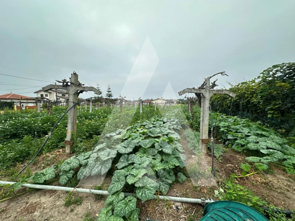 Terreno para Venda em Covões e Camarneira Foto 7