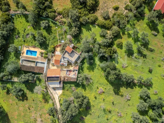 Terreno para Venda em Loule (São Clemente) Foto 23