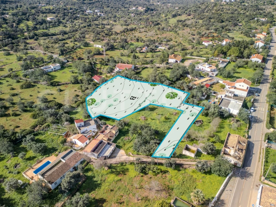 Terreno para Venda em Loule (São Clemente) Foto 1