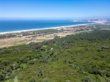 Terreno para Venda em Famalicão
