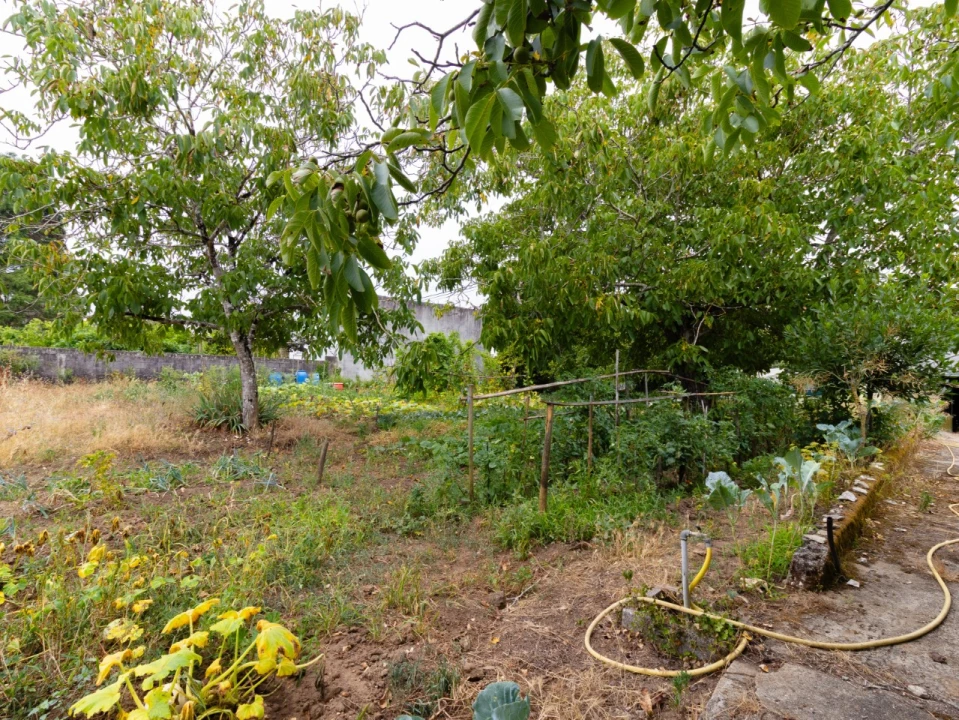 Moradia T3 para Venda em Portunhos e Outil Foto 27